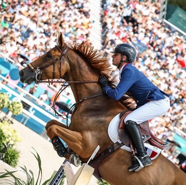 Genesis Horse Breeding