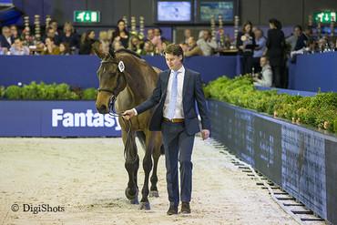 Fantasy BB got sold for 380.000 euro at the Jumping Talent Sale. Photo (c) Digi Shots