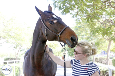 Photo © Jenny Abrahamsson for World of Showjumping.