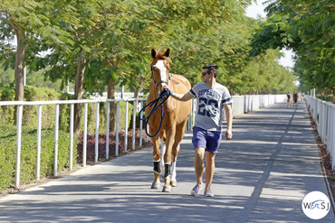 Photo © Jenny Abrahamsson for World of Showjumping.