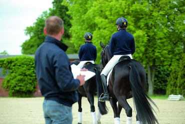 More than 1.000 horses are sold in Verden every year. They are selected out of more then 3.000 horses.