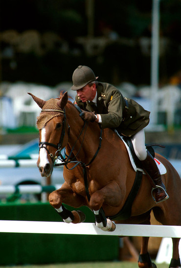 Photo provided by Horse Sport Ireland