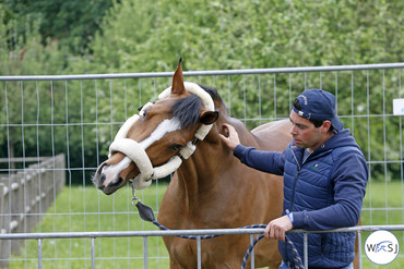 Photo © Jenny Abrahamsson for World of Showjumping.