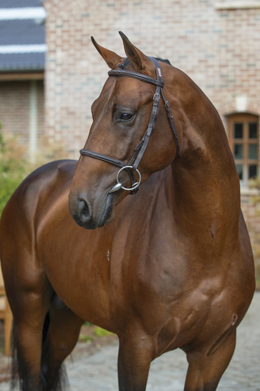 ENNIO DE LEZELLEC (L'ARC DE TRIOMPHE X GALOUBET A)