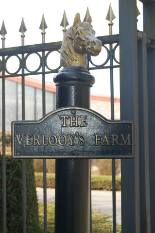 Verlooy's yard.