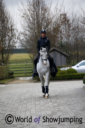 Daniel Deusser and Cornet d'Amour at Stephex Stables. 