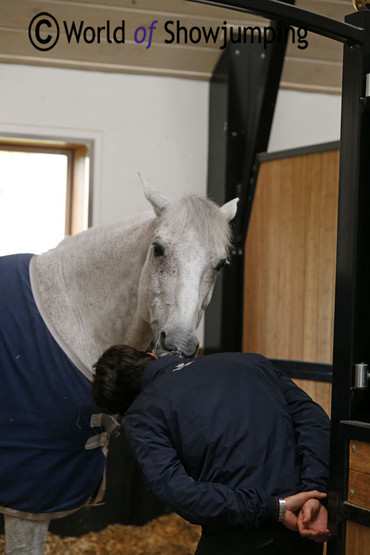 Nenuphar 'Jac gives Marlon a 'Bisou' – a little kissing trick he learned from his former French rider.