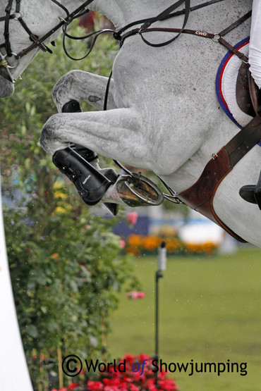 (c) World of Showjumping