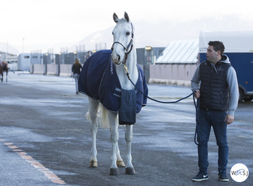 Photo © Jenny Abrahamsson for World of Showjumping.