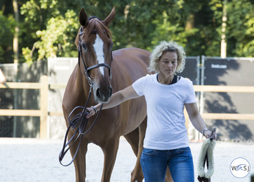 Photo © Jenny Abrahamsson for World of Showjumping.