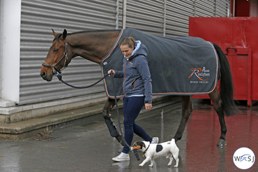 Photo © Jenny Abrahamsson for World of Showjumping.