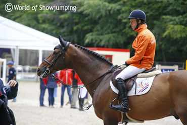 Perfect plaits on Verdi. Photo (c) Jenny Abrahamsson.