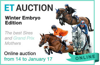 ET Auction