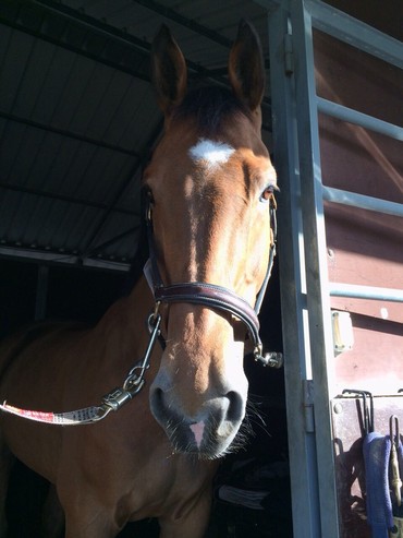 Cosi looking quite happy with himself after his super efforts here!