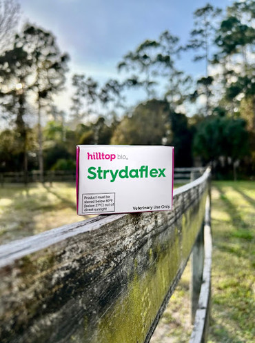 Strydaflex