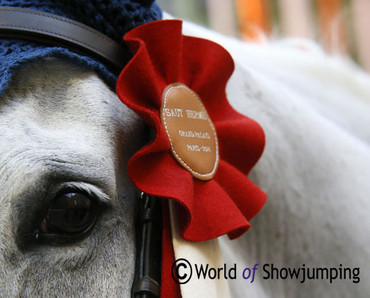 Ribbon