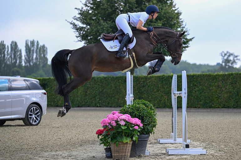 Dolce vd Sint-Amandshoeve Z