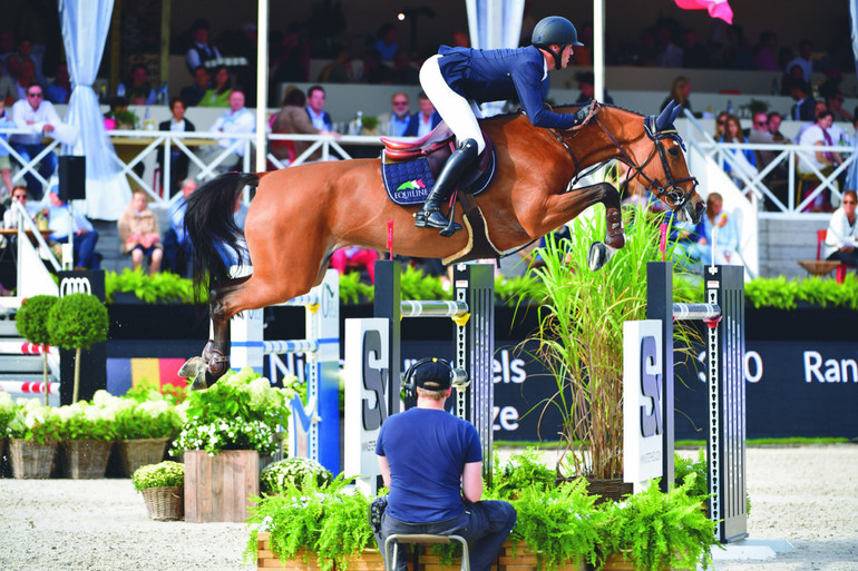Photo © Flanders Foal Auction. 