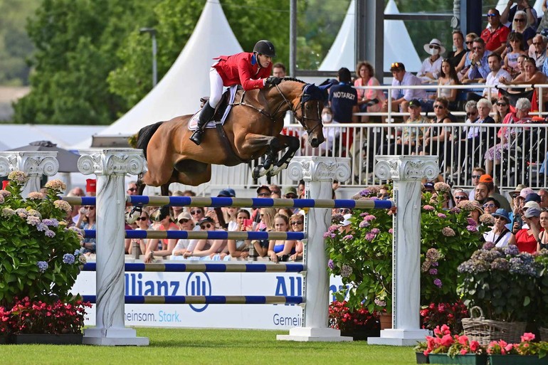 Photo © Flanders Foal and Embryo Auction. 