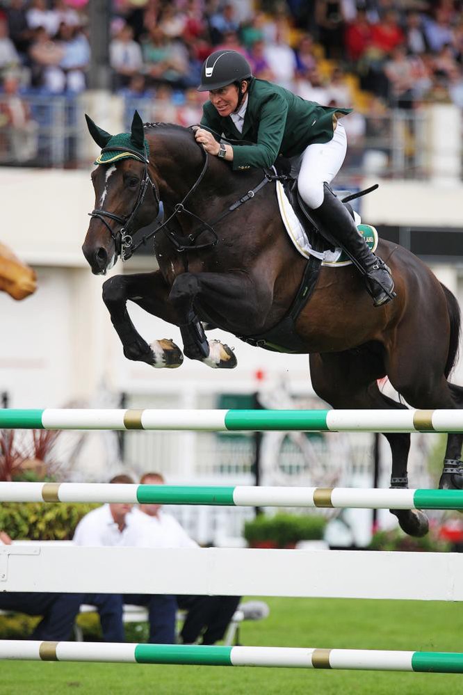 Photo © Flanders Foal and Embryo Auction.