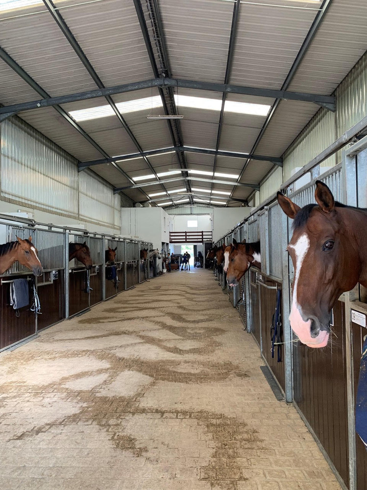 Haras du Ry