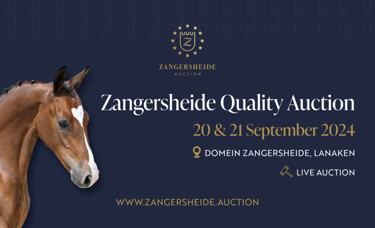 Zangersheide Quality Auction 