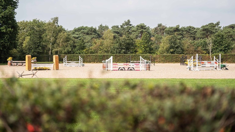 Photo © Kardel Global Equine