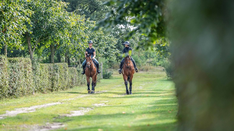 Photo © Kardel Global Equine