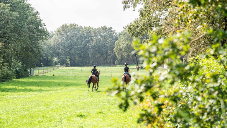 Photo © Kardel Global Equine