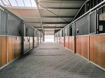 Photo © Kardel Global Equine