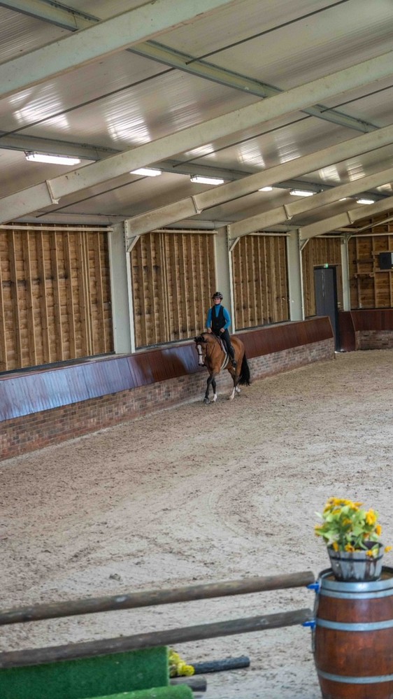 Photo © Kardel Global Equine