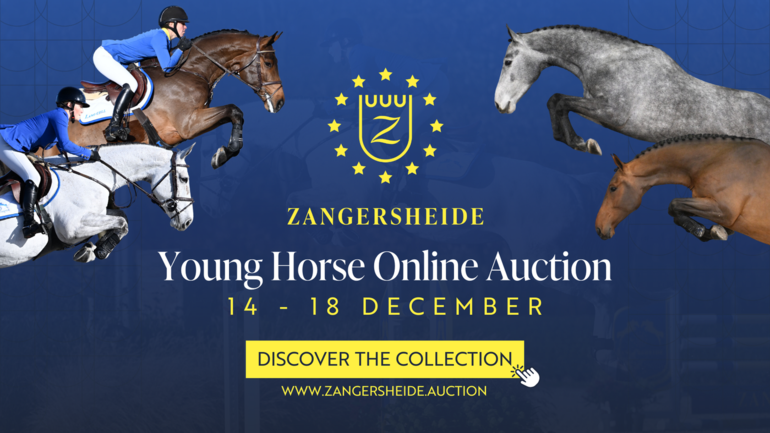 Photo © Zangersheide Young Horse Online Auction