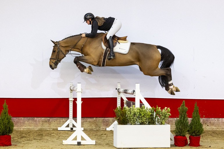 VRIEND W Z