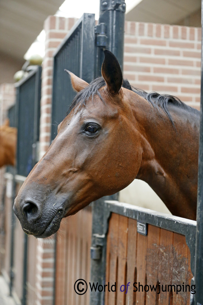 Stoeterij Duyselshof