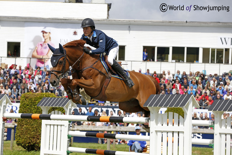 Casello with Douglas Lindelöw in the saddle. Photo (c) Jenny Abrahamsson.