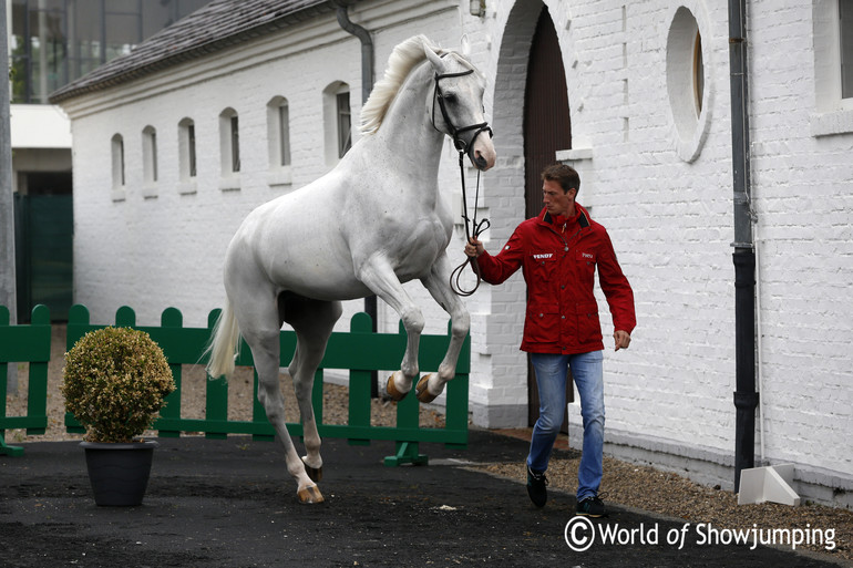 Daniel Deusser and Cornet d'Amour