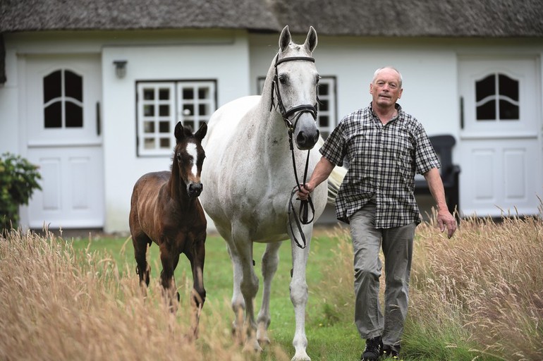 The mother of GLOCK’s Cognac Champblanc and the half sister of him by Adagio de Talma with the breeder Peter Diedrichsen.