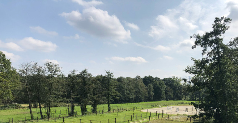 Woodnote Stables