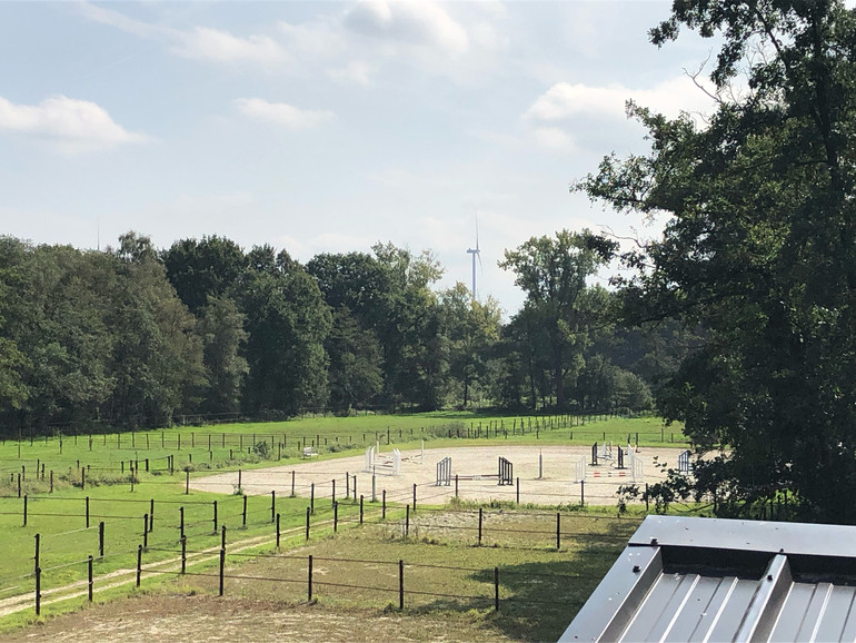 Woodnote Stables