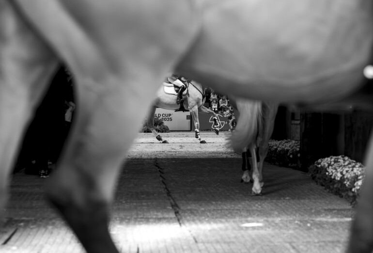 Photo © Jenny A Photo/WoSJ. 