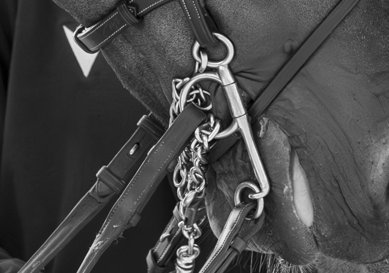 Photo © Jenny Abrahamsson/World of Showjumping