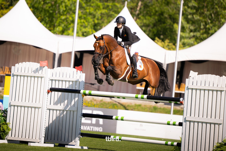Photo ©tbird/Kim Gaudry Photography.