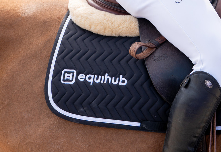 Equihub