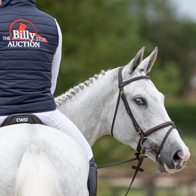 Billy Zazu. Photo © Elli Birch/Bootsandhooves