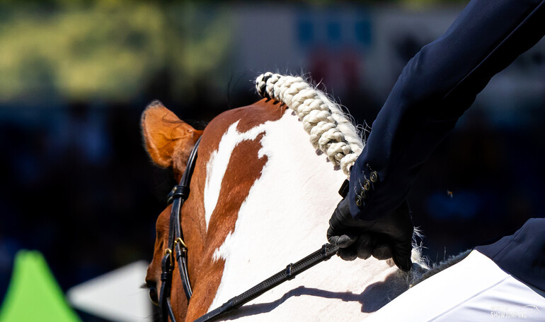 Photo © Jenny Abrahamsson/WoSJ. 