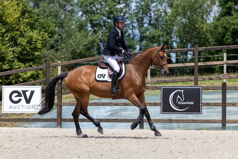 Equestrian Valley Auction