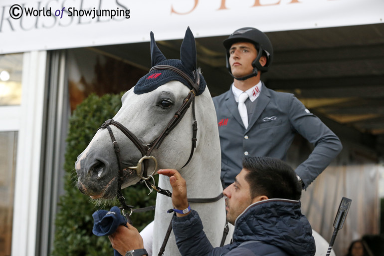 Nicola Philippaerts and Zilverstar T