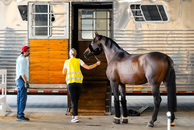 Photo © Spruce Meadows Media/Bart Onysko.