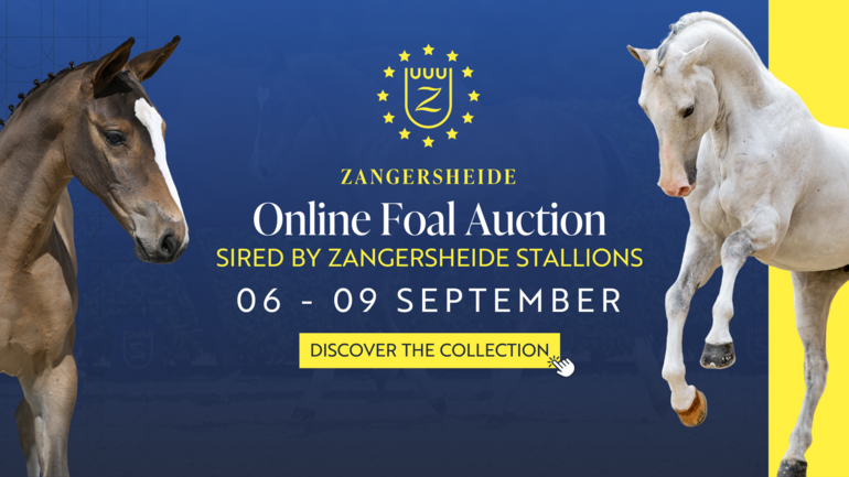 Zangersheide Online Auction