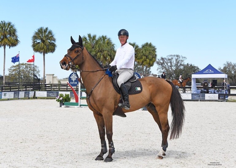 Equine 74 Gastric
